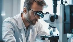 د/ حسام حمدى احمد غيث 