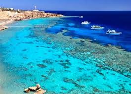 محمية رأس محمد